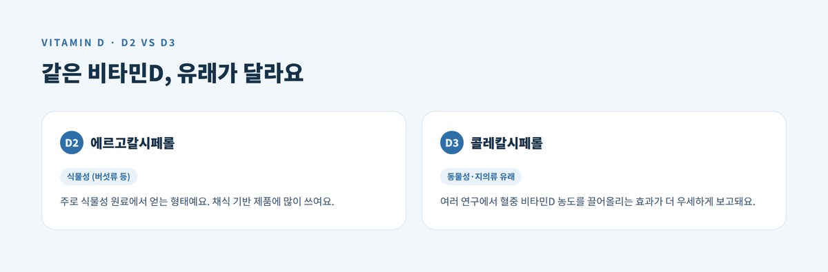 비타민D2와 D3 비교