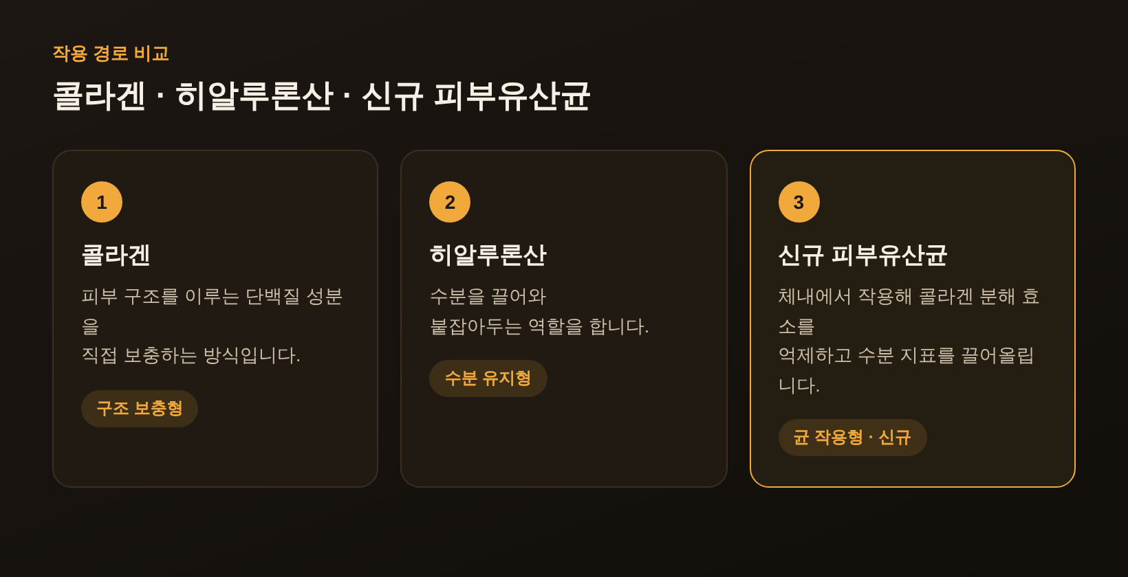 콜라겐 히알루론산 신규 피부유산균 작용 경로 비교