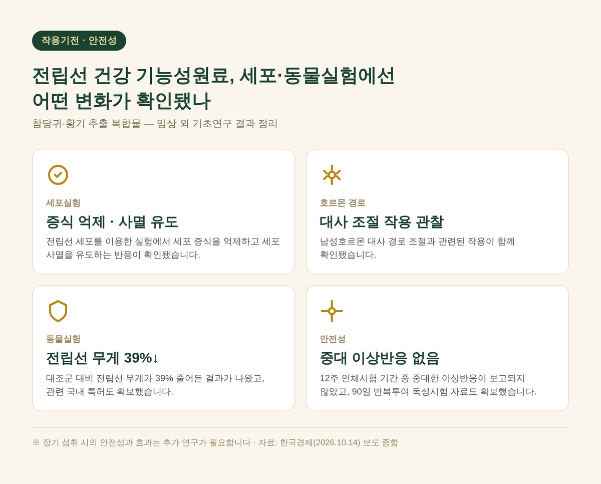 전립선 건강 기능성원료 작용기전과 안전성 정리: 세포실험 증식억제, 동물실험 전립선 무게 39퍼센트 감소, 중대 이상반응 없음